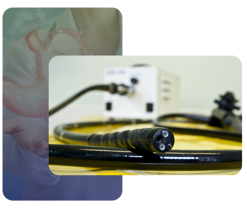 Flexible Sigmoidoscopy - Talk With A Gastroenterology Specialist Today ...